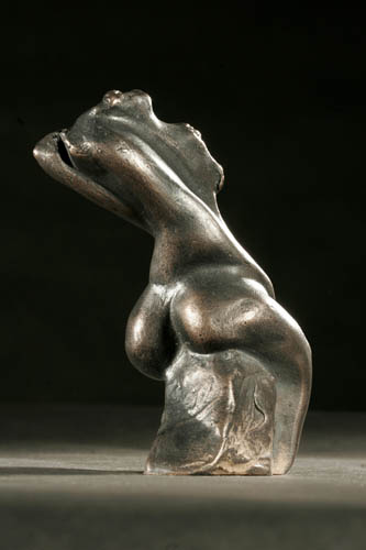 SARIDI-Br-Torso-2